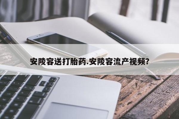 堕胎药怎么购买安陵容送打胎药.安陵容流产视频？
