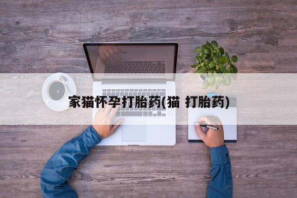 堕胎药怎么购买家猫怀孕打胎药(猫 打胎药)